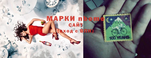 индика Медвежьегорск
