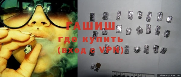 индика Медвежьегорск