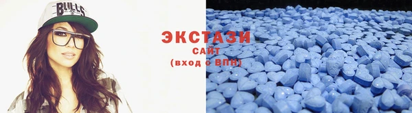 индика Медвежьегорск