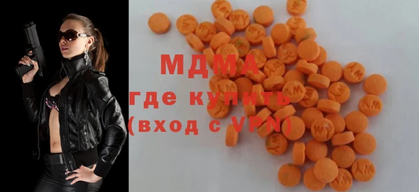 индика Медвежьегорск
