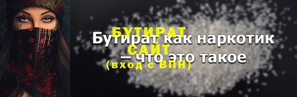 индика Медвежьегорск