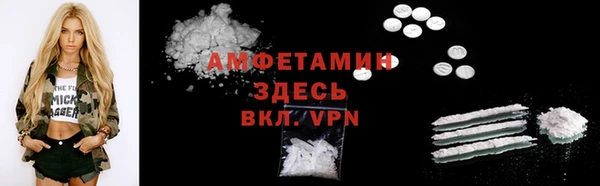 индика Медвежьегорск