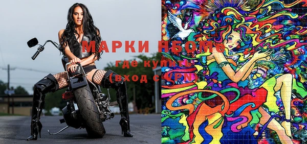 индика Медвежьегорск