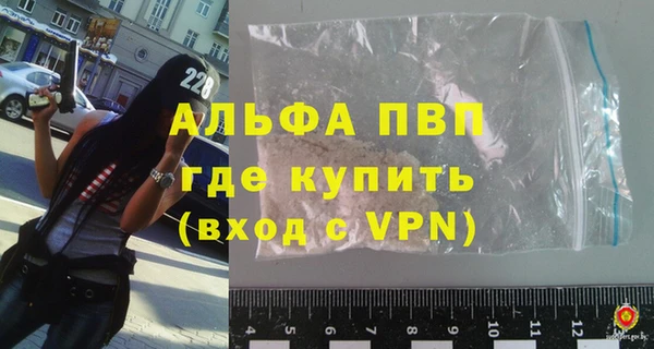 индика Медвежьегорск